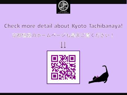 Villa Kyoto Tachibanaya Nijojo North Esterno foto